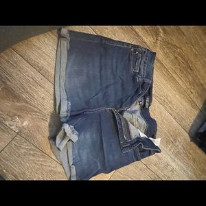 Judy Blue Shorts